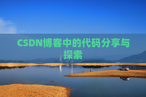 CSDN博客中的代码分享与探索
